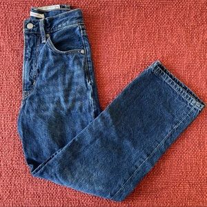 Ribcage Straight Ankle Jeans